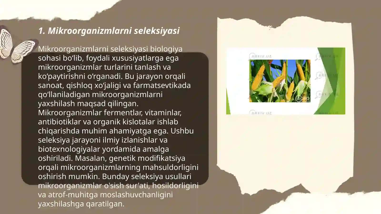 Mikroorganizm, o'simlik va hayvonlar seleksiyasi 3