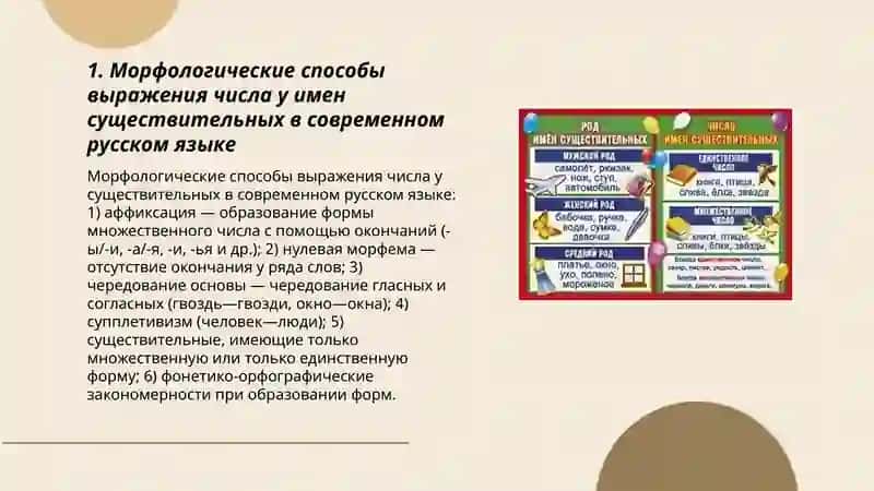 Число имен существительных в современном русском языке 3