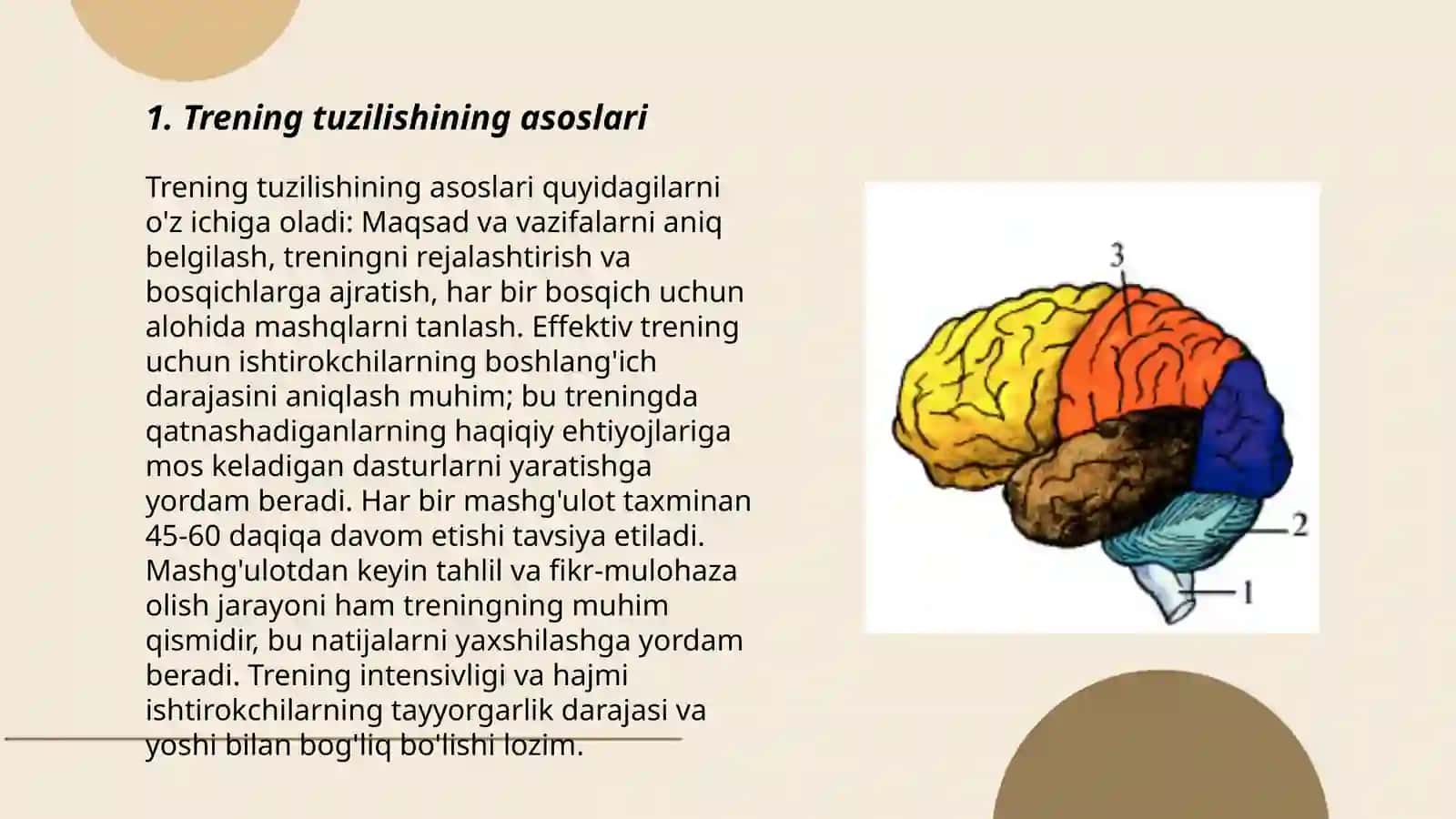 Terining tuzilishi 3
