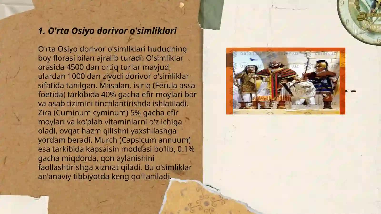O'rta Osiyo o'simlik dunyosi 3