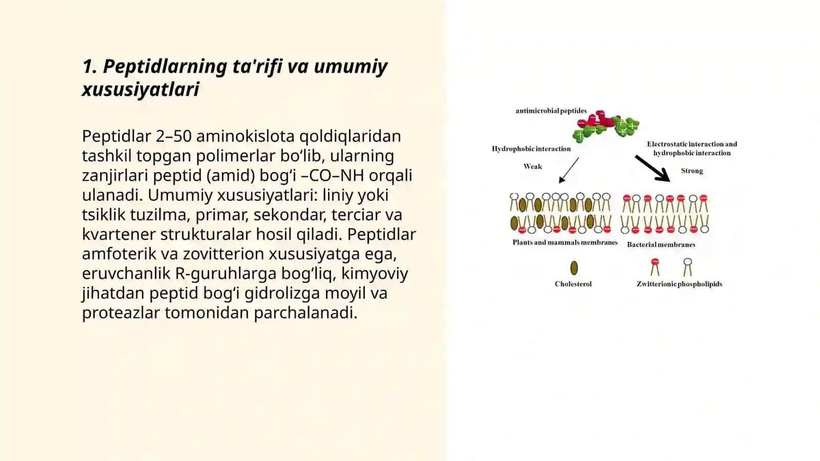 Peptidlarning hosil bo'lishi va kimyoviy tabiati 3