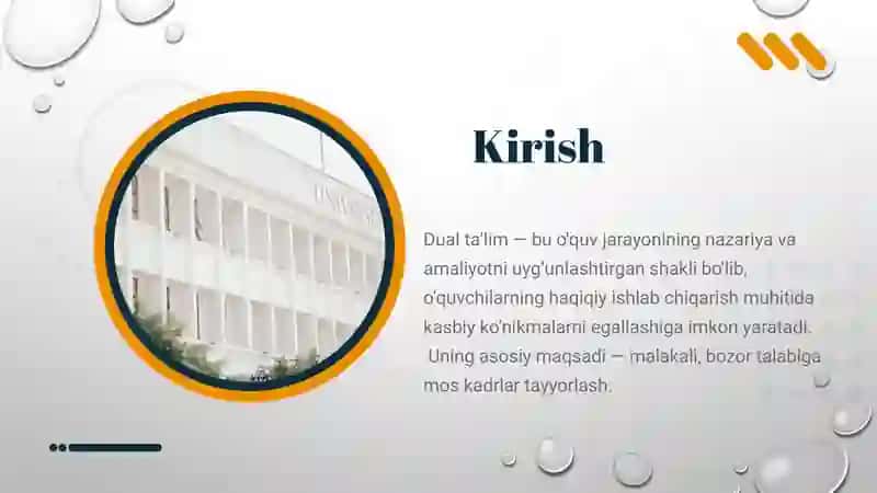 Dual Ta’lim Tizimi 3