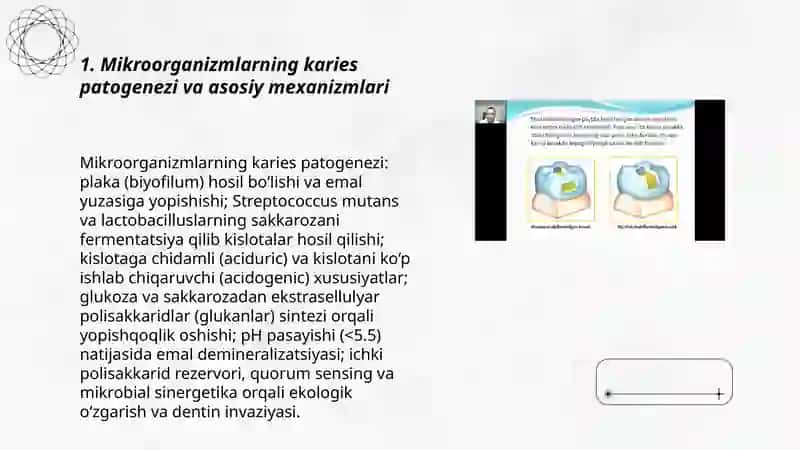Mikroorganizmlarning Kariesdagi Roli 3