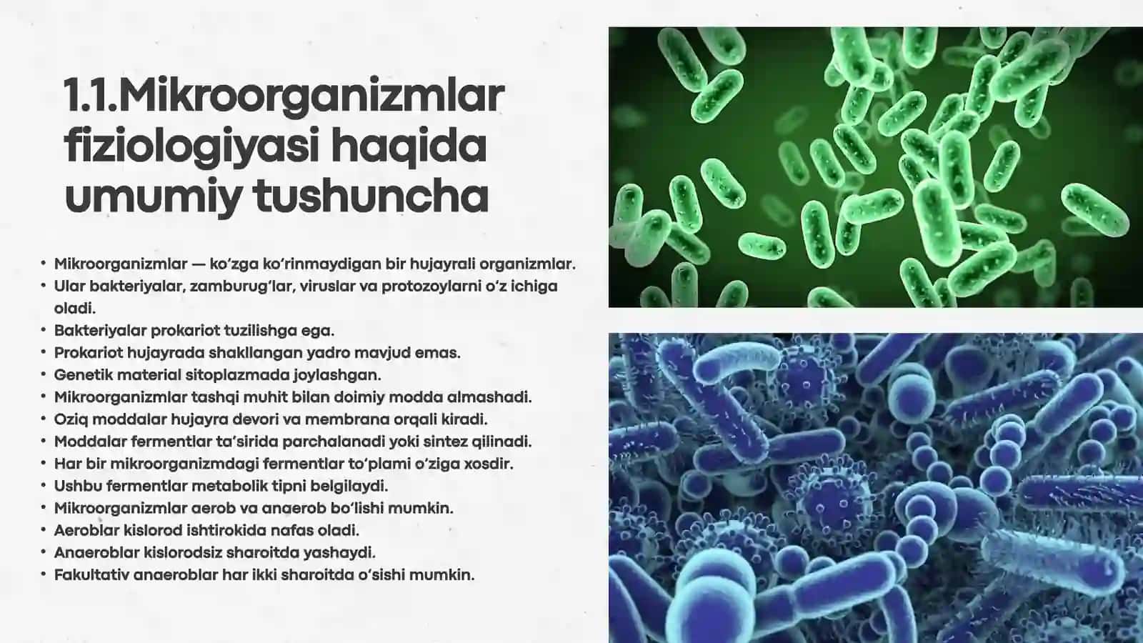 mikroorganizmlar fiziologiyasi 3