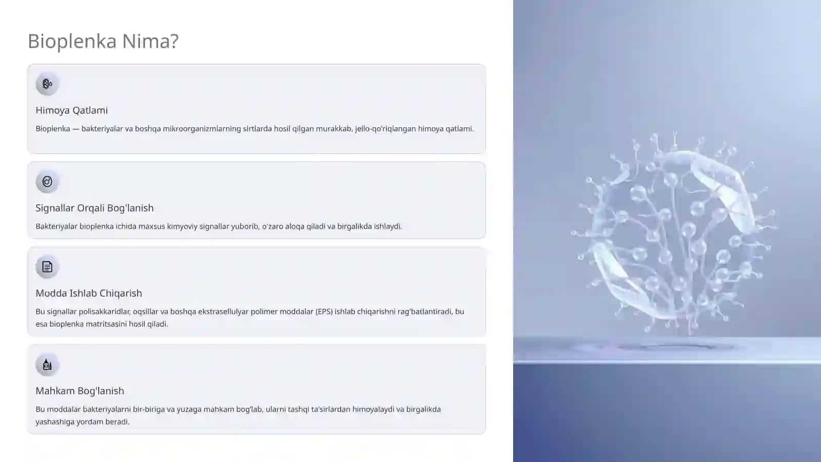 Bakterialar Bioplenkasi: Tabiatdagi Yashirin Himoya Qatlami 3