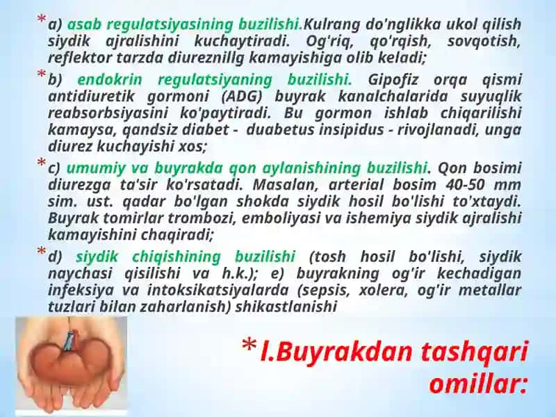 SOMATONEVROLOGIK SINDROMLAR(BUYRAKKASALIKLAR) 3