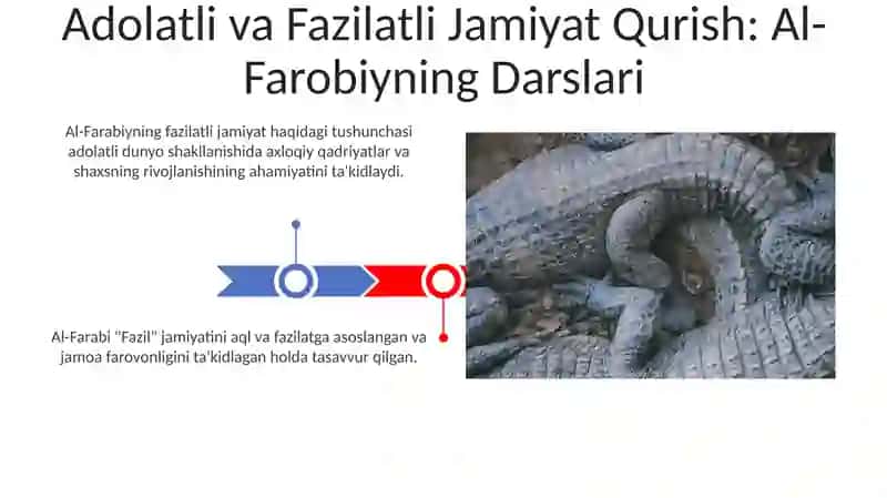Abu Nasr Forobiyning Fozil jamiyat haqidagi fikrlari va uning bugungi kundagi ahamiyati 3