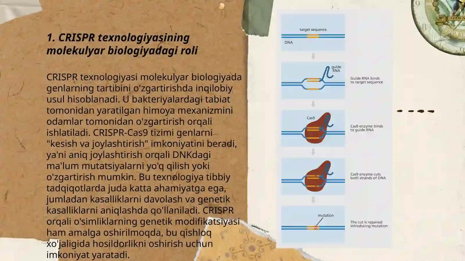 Molekulyar biologiya CRISPR texnologiyasining ôrni 3