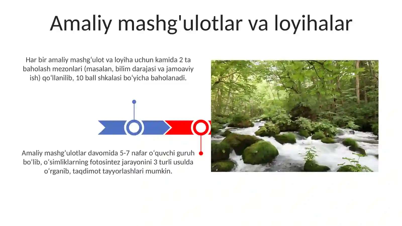 Tabiat bn tanishtirishda dastur mazmuni tabiat bn tanishtirish tamoyillari 3