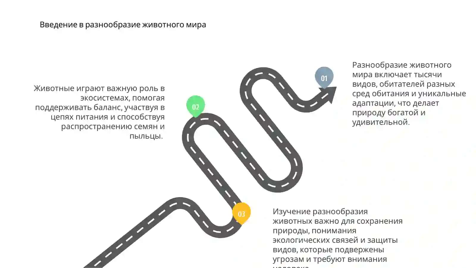 Введение в разнообразие животного мира 3