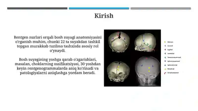 Kallasuyaklarining rentgenatomiyasi 3