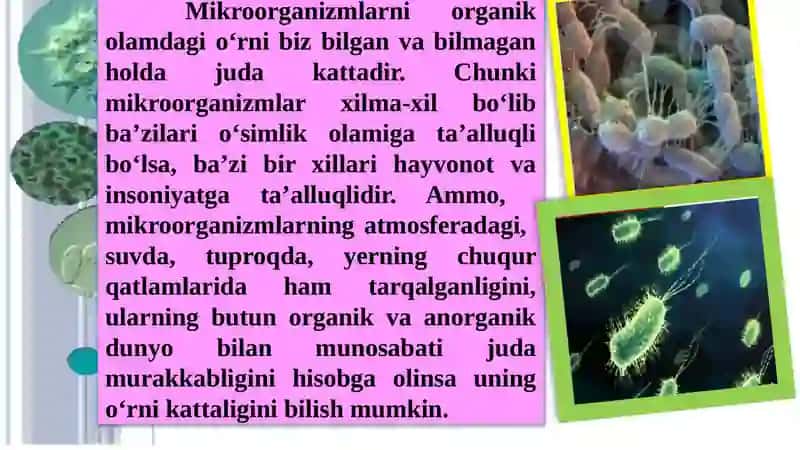 Mikroorganizmlarning ropulyasiyalari 3