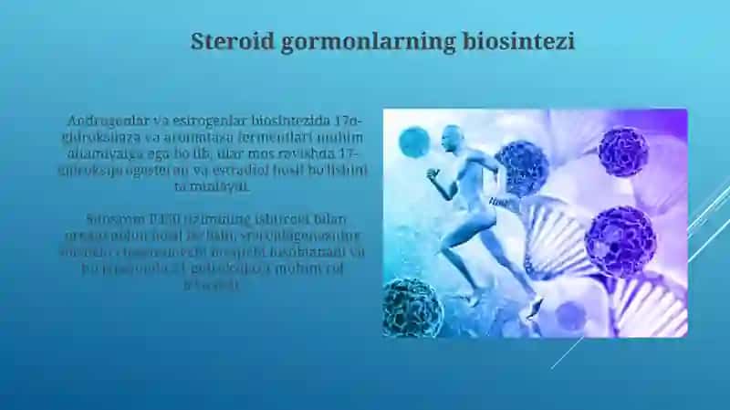 Steroid gormonlar biosintezi va katabolizmi 3