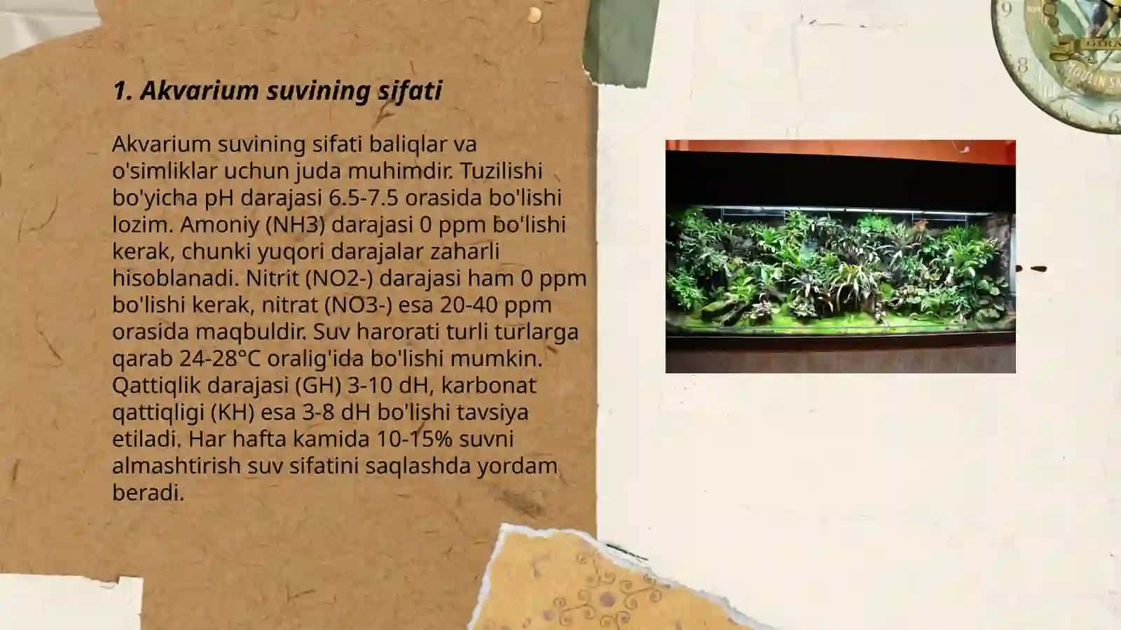 Akvarium suvining sifati 3
