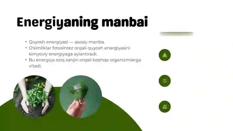 Energiya va zaharli moddalar oqimi mavzusiga pptx 3