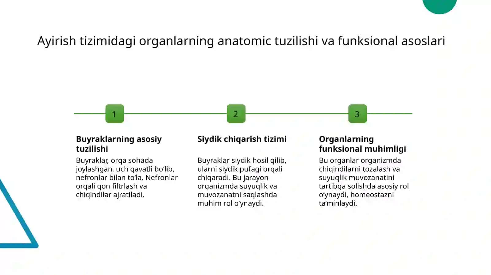Ayirish tizimiga kiruvchi a'zolarning tuzilishi fizolgiyasi 3