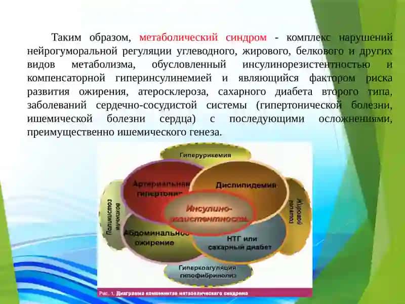 Влияние питания на возникновение Метаболического синдрома 3