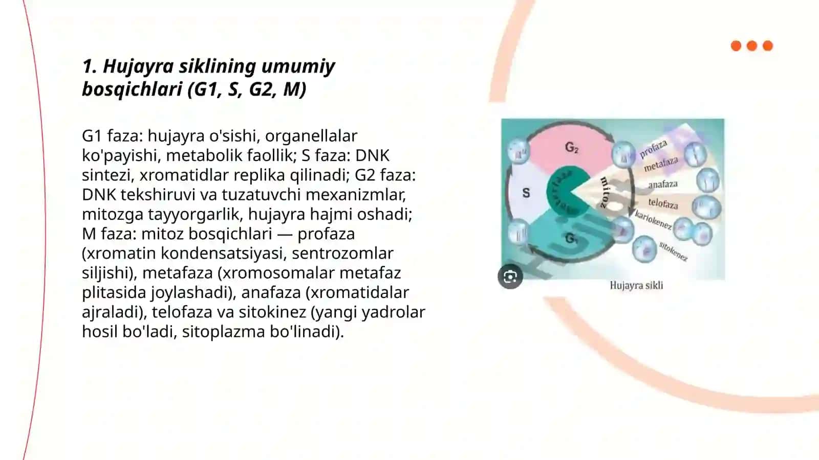 Hujayra sikli.Mitoz fazalari 3