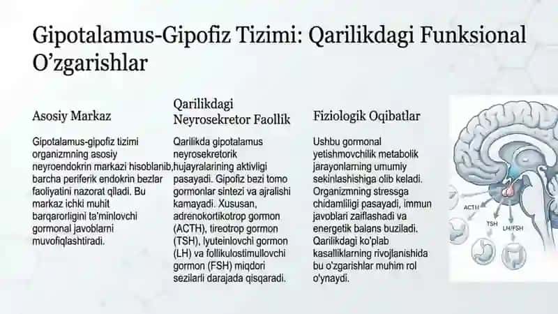Qarilikda Endokrin tizim oʻzgarishlar va taʼsirlar 3