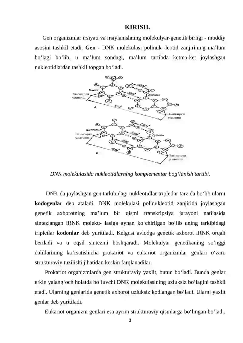 Gen.Genlar tuzilishi, genomlar xilma-xilligi va ularning strukturasi 3