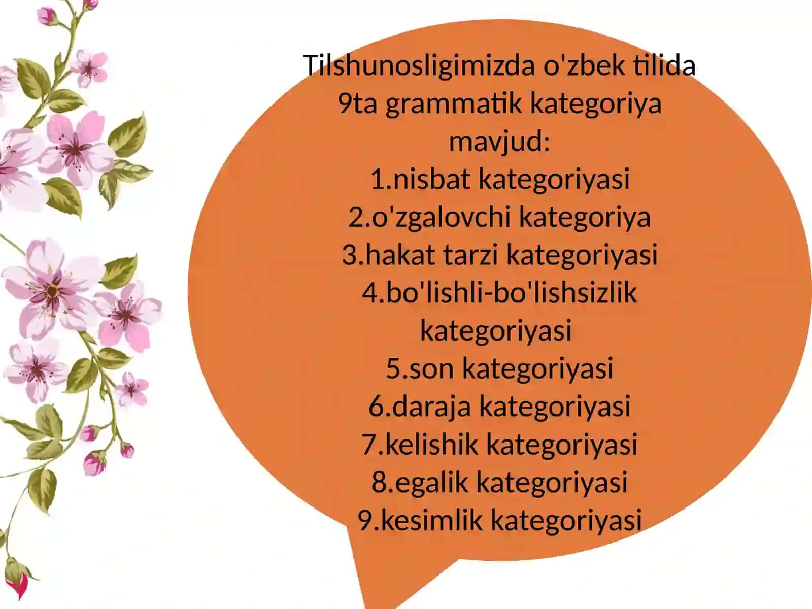 Grammatik kategoriya va uning turlari 3