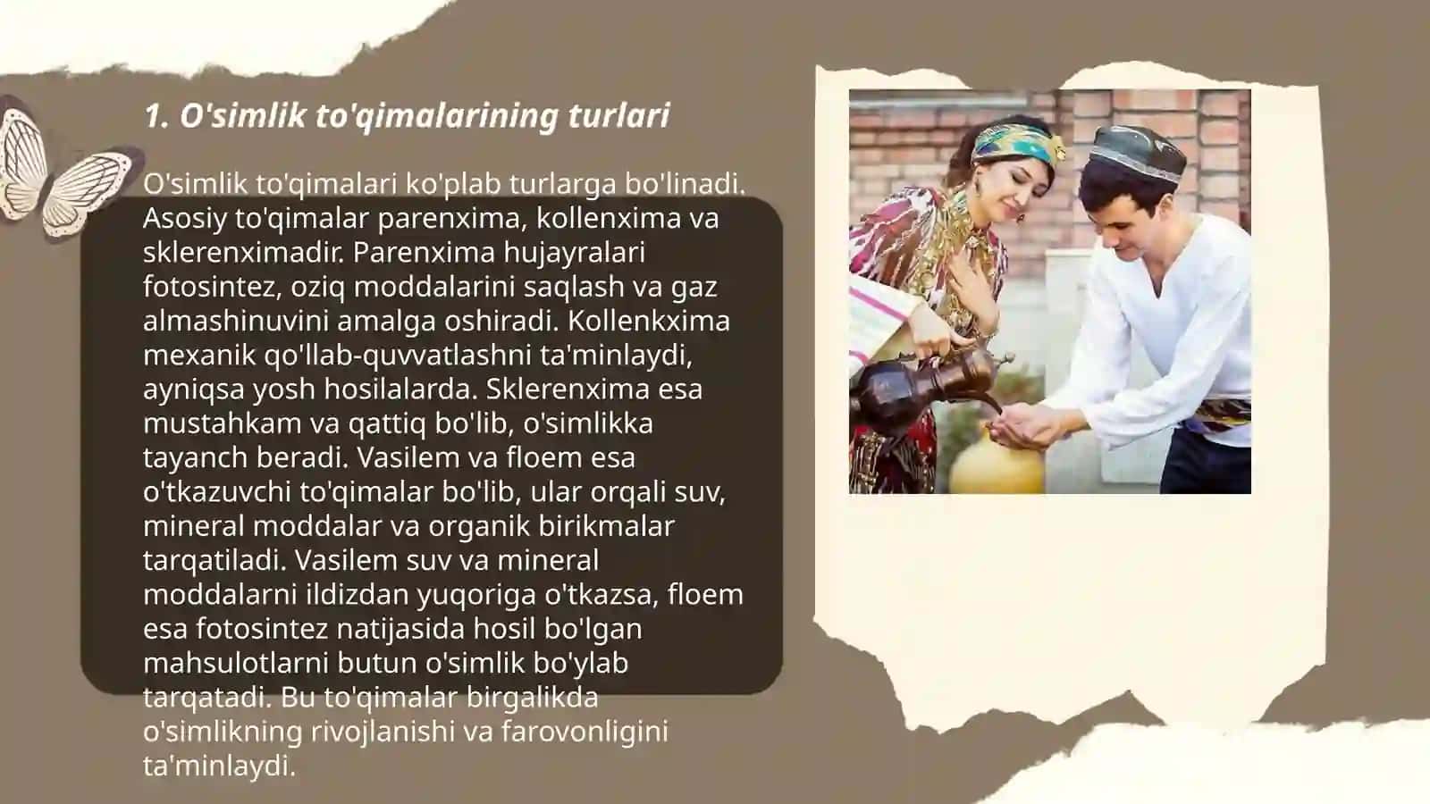O'simlik to'qimalari. O'tkazuvchi nay tolali bog'lamalar 3