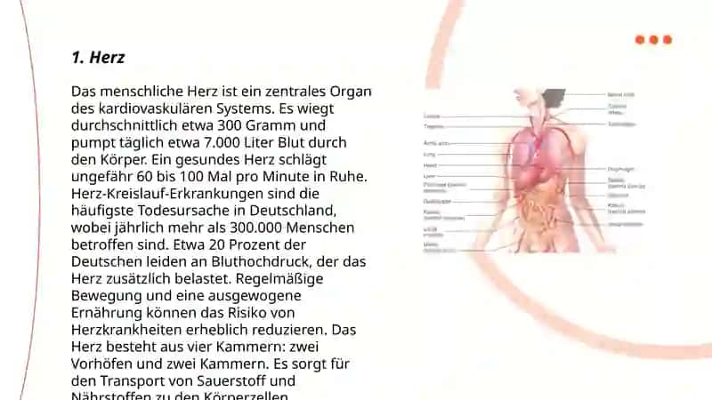 Innere Organe des Menschen 3