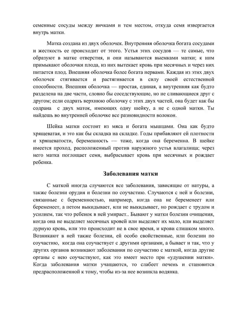 Анатомия яичек и семенных сосудов 3