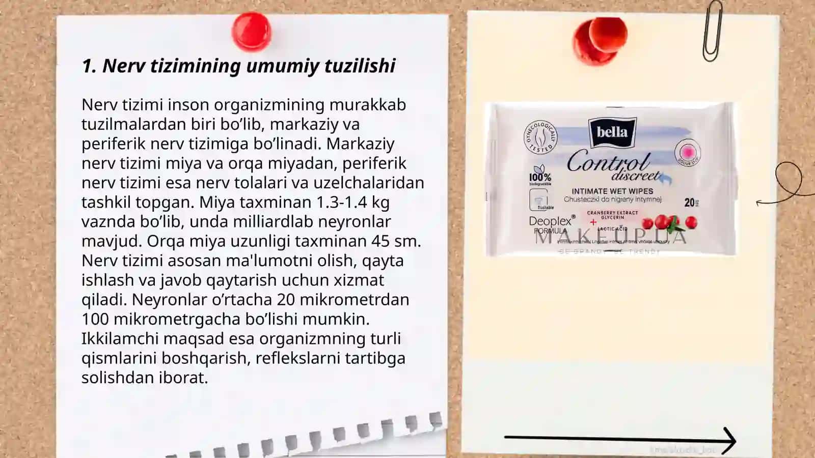 Nerv tizimining ahamiyati va gigiyenasi 3