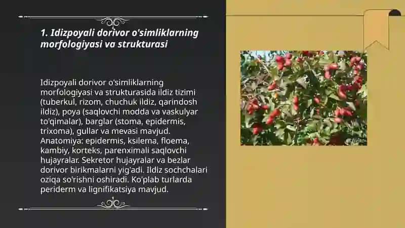 Idizpoyali dorivor o simliklar biologiyasi va ekologiyasi 3