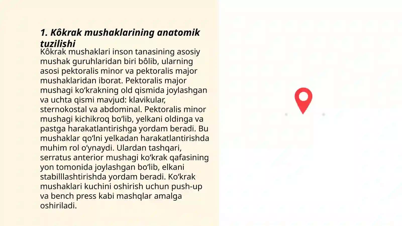 Kôkrak mushaklarini tuzilishi,joylashishi, vazifasi 3