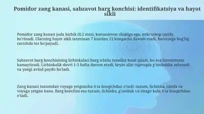 Pomidor zang kanasi sabzavot g'ovaklovchi pashshasi 3