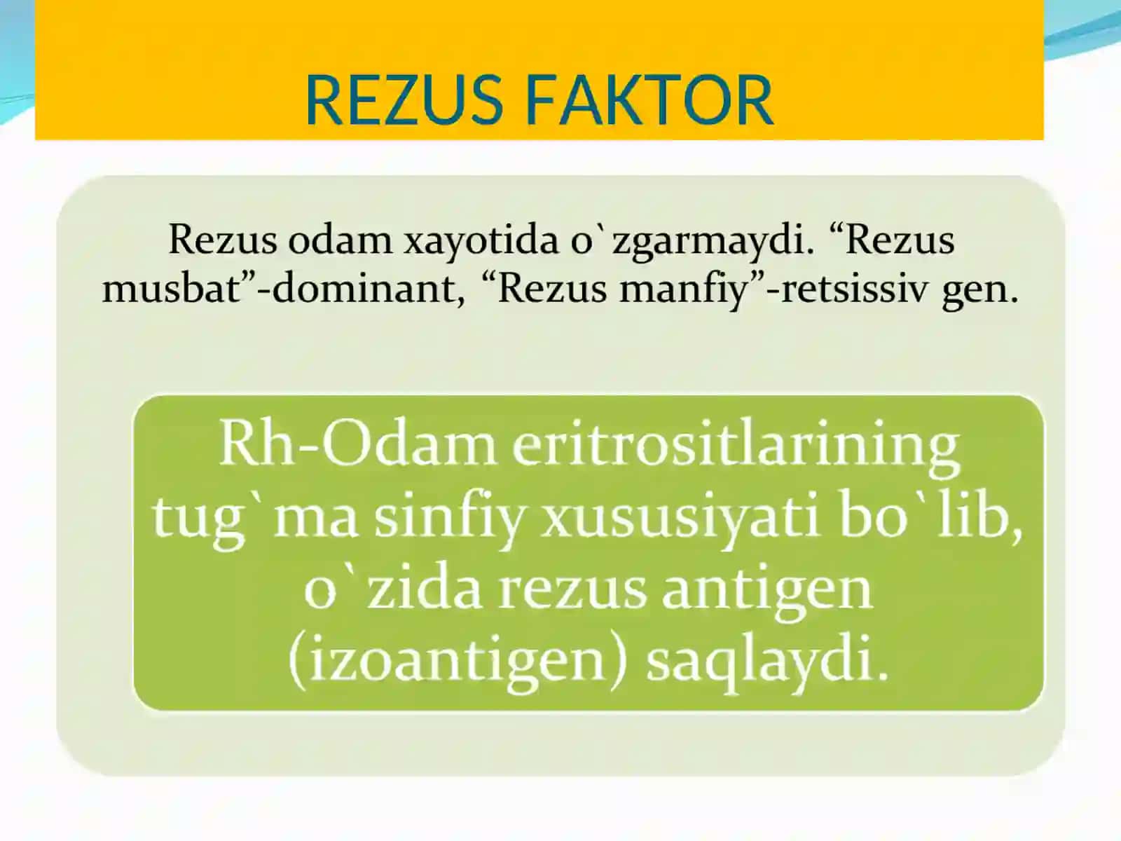 REZUS FAKTOR 3