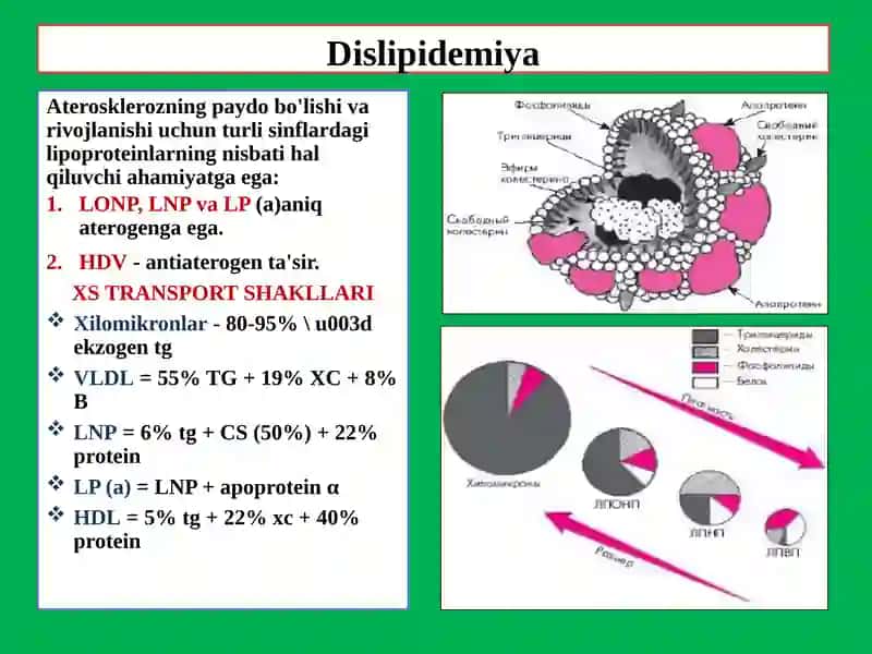 ATEROSKLEROZ-TA'RIFI, EPIDEMIOLOGIYASI 3
