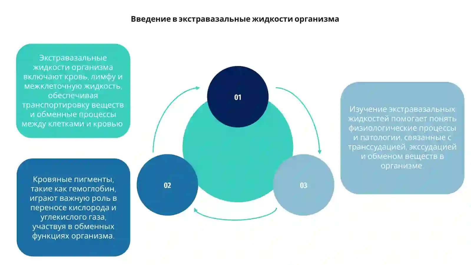 Экстравазальныe жидкости организма 3