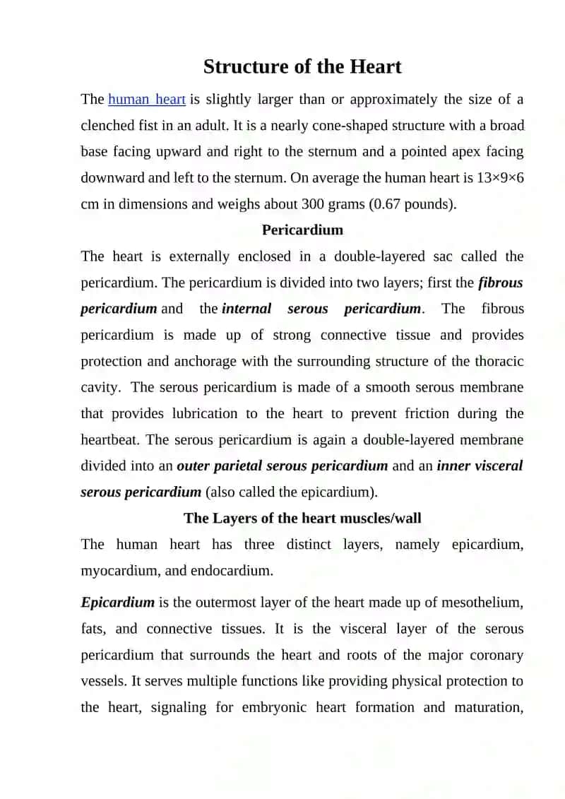 THE CARDIOVASCULAR SYSTEM 3