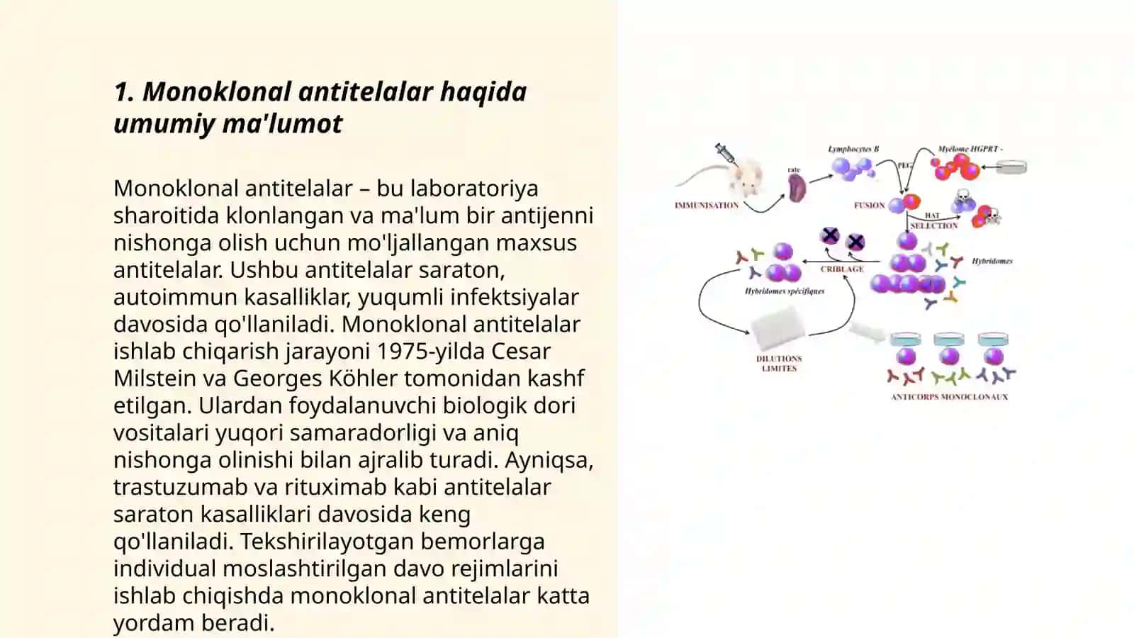 Monoklonal antitelalar haqida umumiy ma'lumot 3