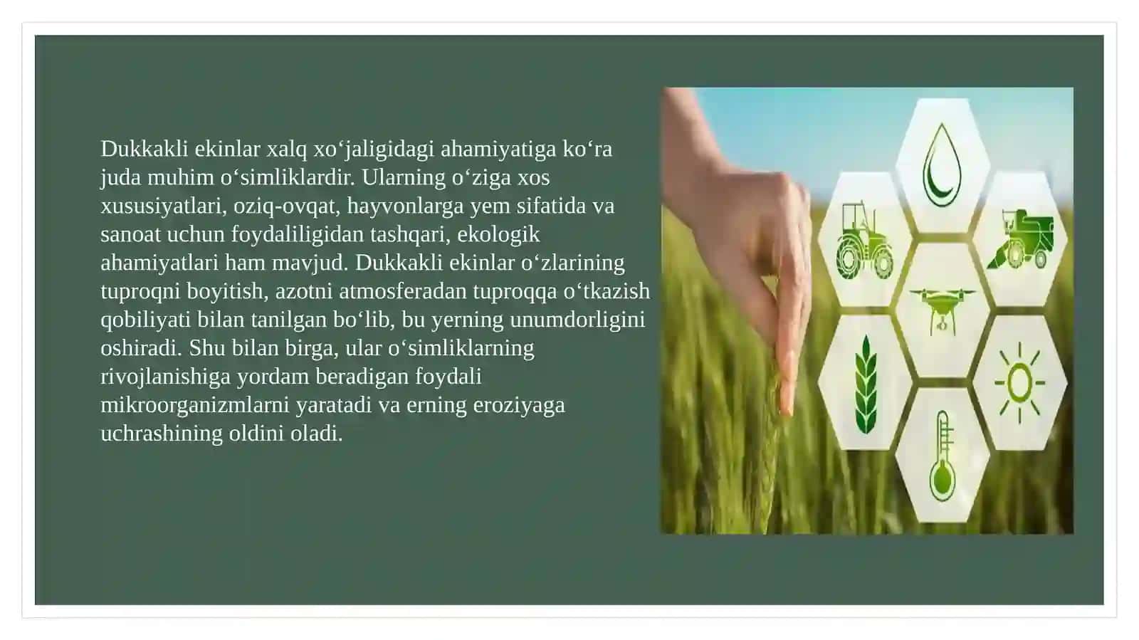 Donvadukakliekinlarning biologiyasi va etishtirish texnologiyasi 3