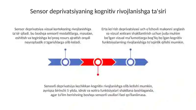 Ko’zi ojiz va zaif ko'ruvchilar kognitiv jarayonlari rivojlanishining oʻziga xos xususiyatlari 3