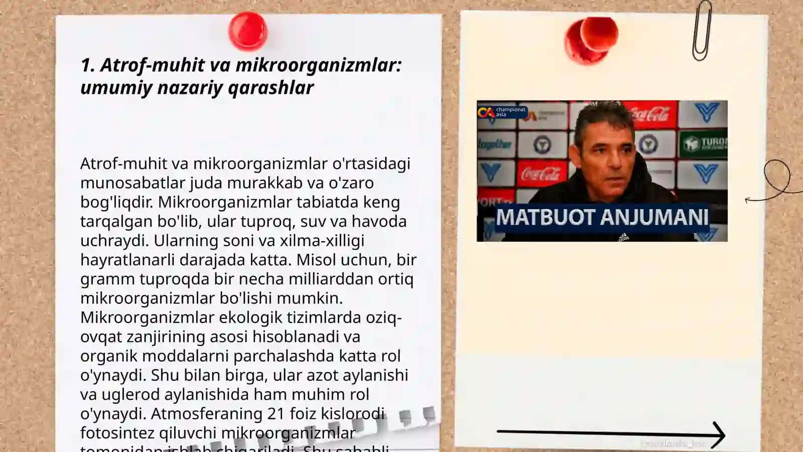 Go‘sht mahsulotlari mikrоbiologiyasi 3