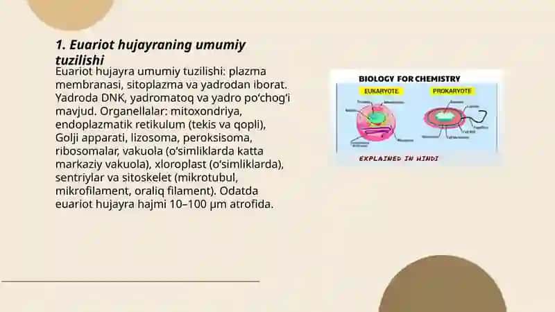 Euariot organizmlar va ularning tuzilishi 3