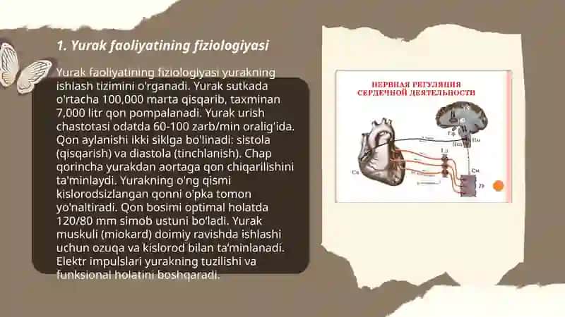 Yurak faoliyatini boshqarilishini o‘ziga xosligi 3