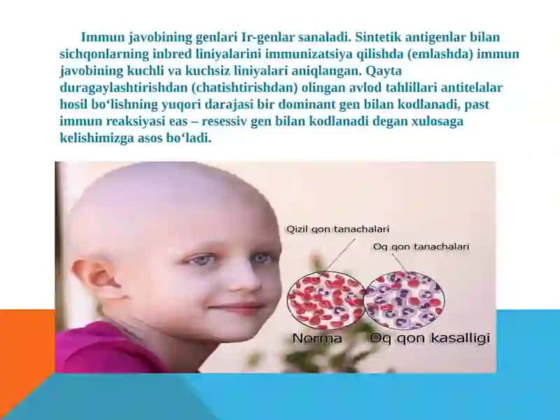 Immunjavobininggenetiknazorati.Gistomoslikniasosiykompleksi 3