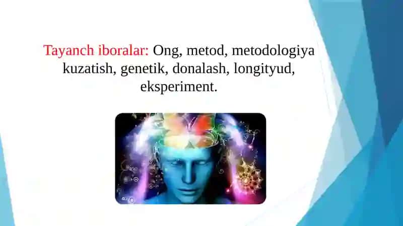 Umumiy psixologiya fanining tadqiqot metodlari va tarmoqlari 3