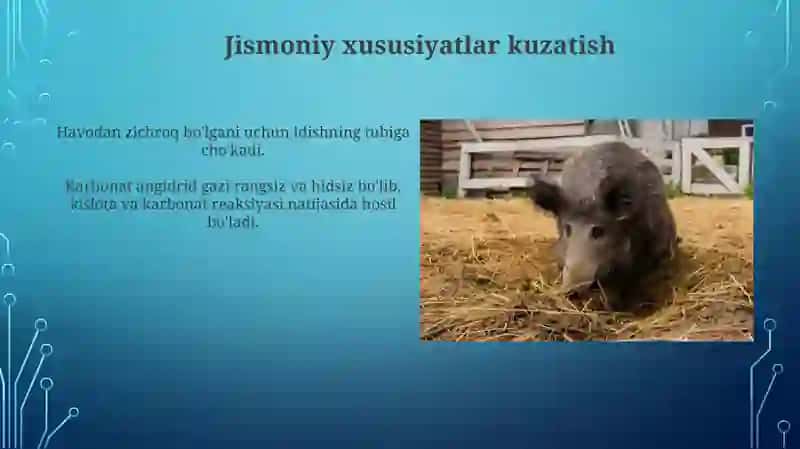Amaliy mashgʻulot -1 Uglerod turt oksidi olish va uning xossalari bilan tanishish 3