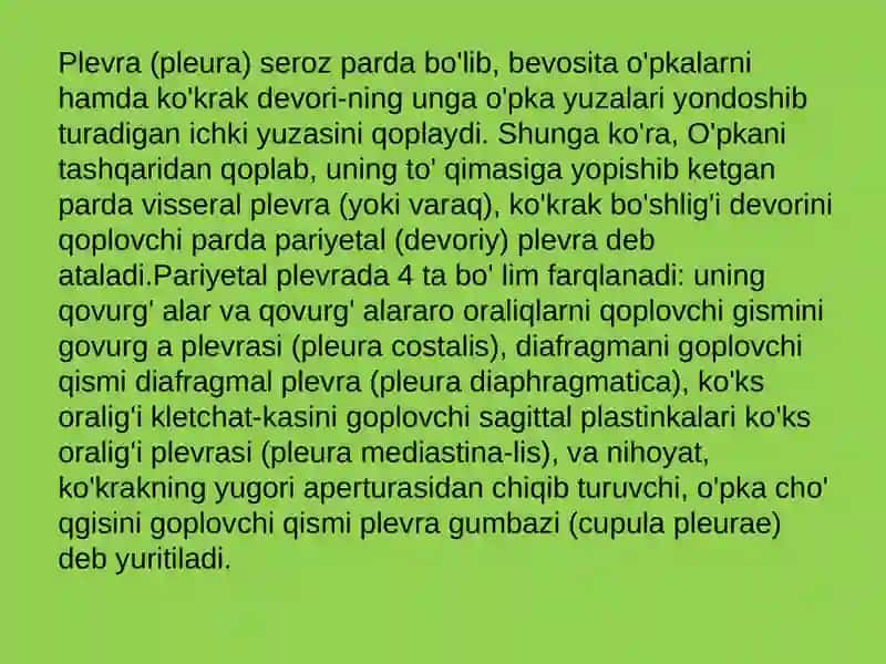 Plevra va o’pkaning chegaralari 3