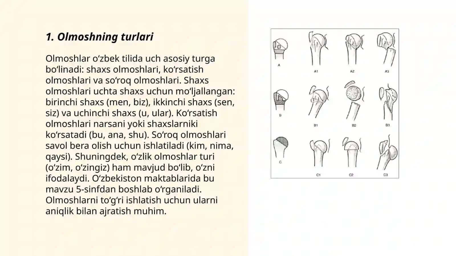 Sonning semantik tasnifi. Olmoshning ma'no jihatidan tasnifi. Morfologiya kategoriyalar tahlil 3