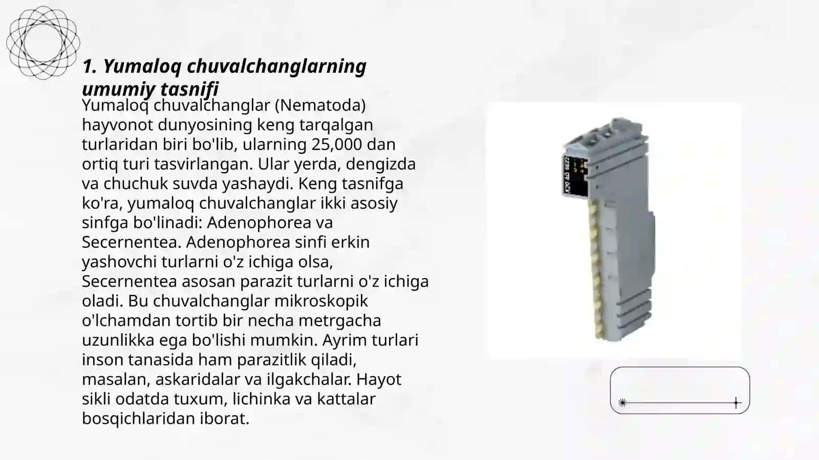 Yumaloq chuvalchanglar.Egri boshli gijja, rishta, qilboschli gijja, trixinella.Ovogelmintoskopiya metodlari 3