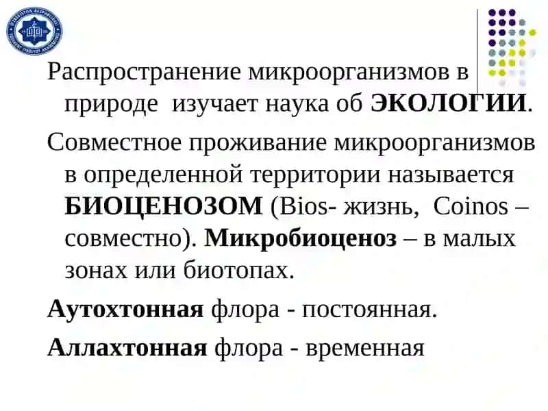 Экология микроорганизмов 3