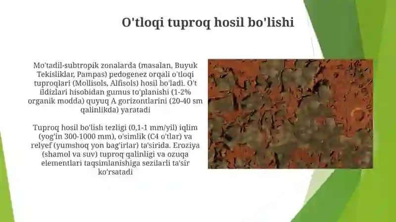 Geografik zonalar bo'yicha tuproq hosil qilish 3